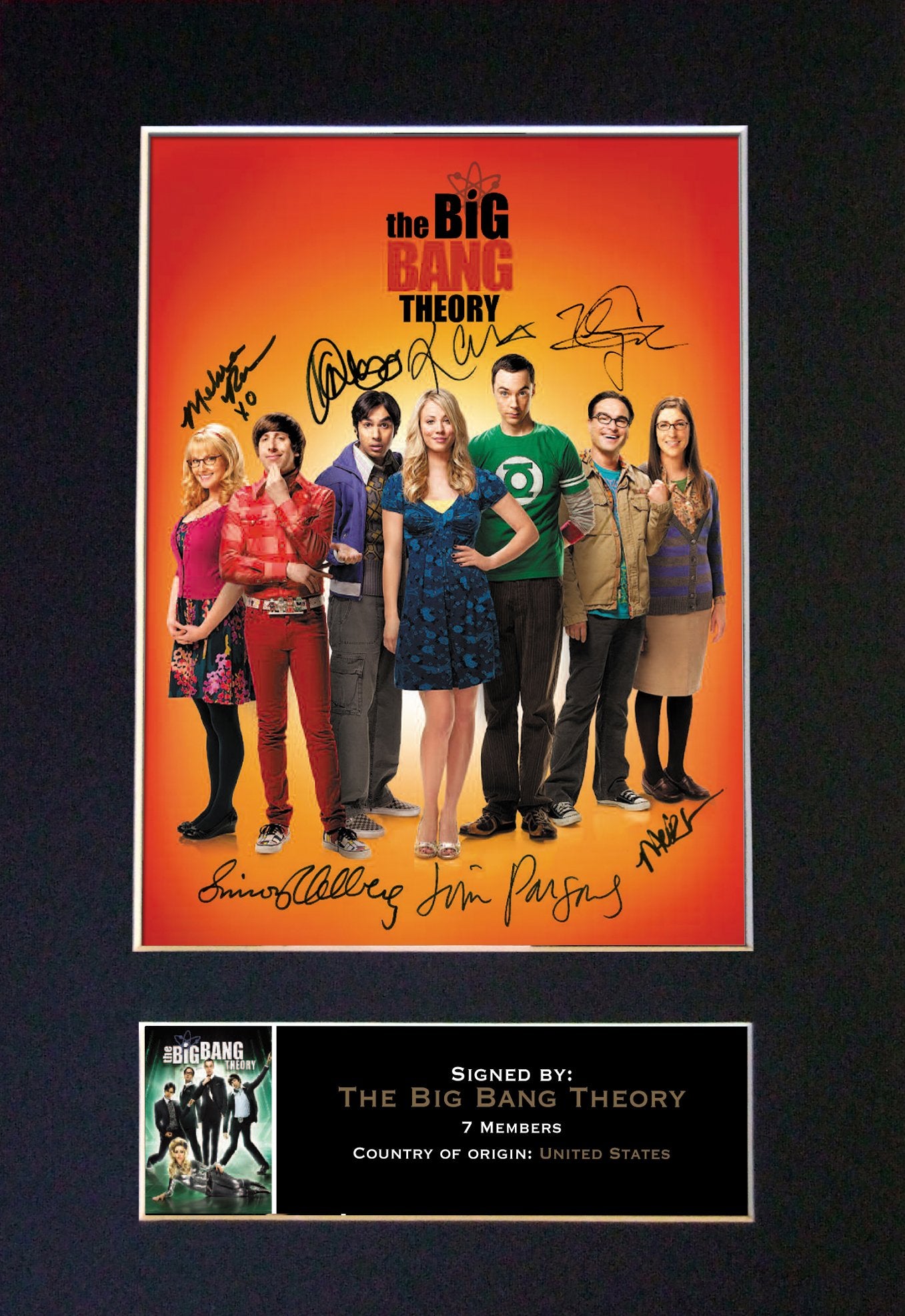 THE BIG BANG THEORY Mounted Signed Photo Reproduction Autograph Print A4 272