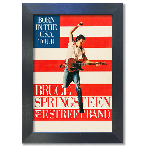 Bruce Springsteen And The E Street USA Band Poster #2