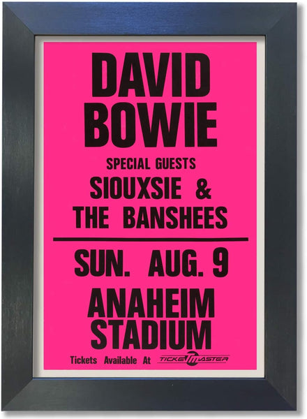 David Bowie - Siouxsie And The Banshees Poster #1