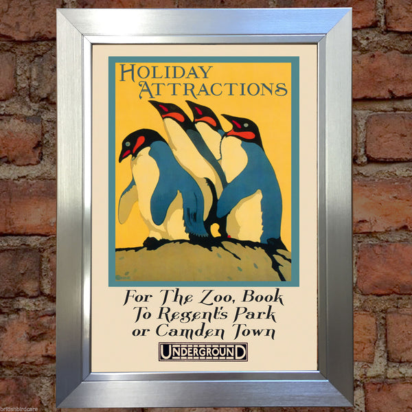 LONDON ZOO #5 VINTAGE RETRO TRAVEL Poster Nostalgic Home Print Wall Decor #52