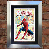 SPIDERMAN Superhero Print Wall Comic Art Black / Silver / Gold Frame Poster #714