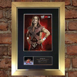 SHAWN MICHAELS Quality Signed Autograph Mounted Photo Repro A4 Print 502