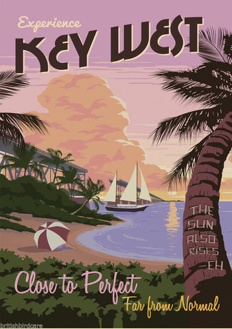 FLORIDA VINTAGE RETRO TRAVEL Poster Nostalgic Home Art Print Wall Decor #45