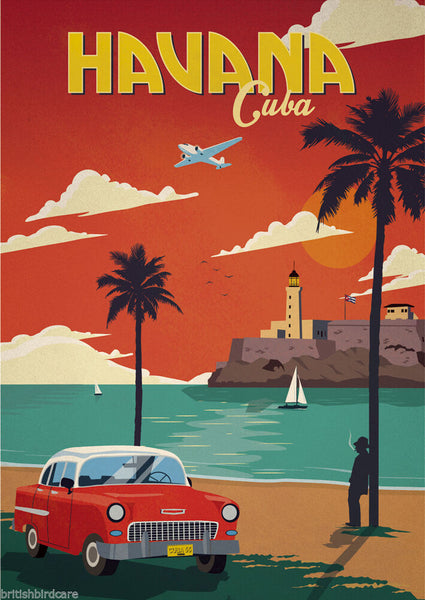 HAVANA VINTAGE RETRO TRAVEL Poster Nostalgic Home Art Print Wall Decor #34