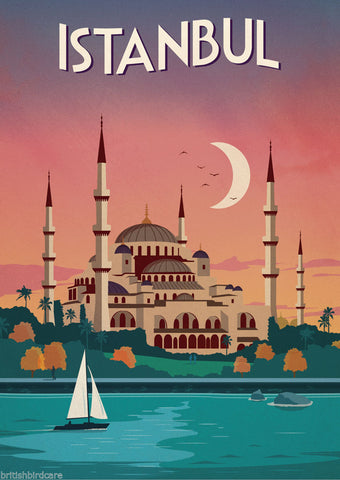 ISTANBUL VINTAGE RETRO TRAVEL Poster Nostalgic Home Art Print Wall Decor #41