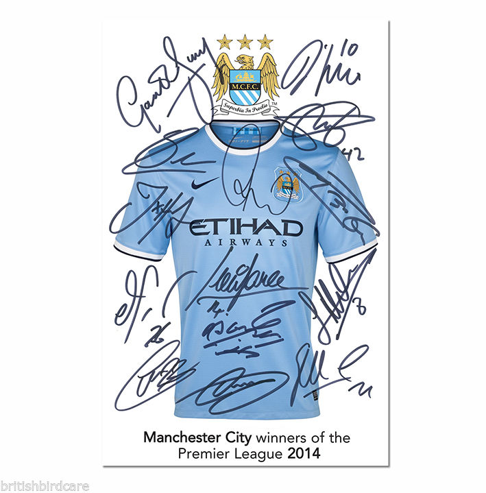 MAN CITY A2 Poster Premier League Winners 2014 Autograph Repro Print 420 x 594mm