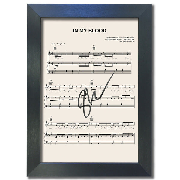 Shawn Mendes In My Blood Signed Music Sheet Album Autograph Print #805