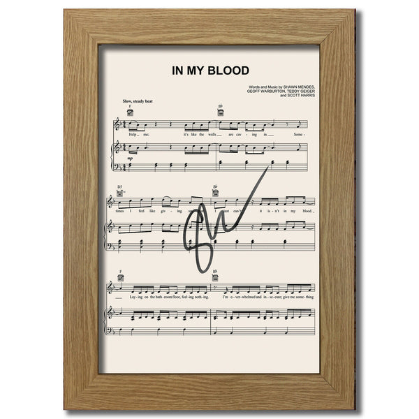 Shawn Mendes In My Blood Signed Music Sheet Album Autograph Print #805