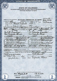 ELVIS PRESLEY Birth Certificate Signed By Both Parents TOP QUALITY Free Post 811