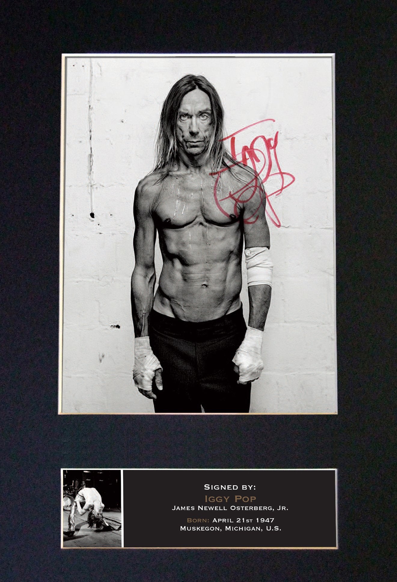 IGGY POP Signed Autograph Mounted Photo Repro A4 Print 439