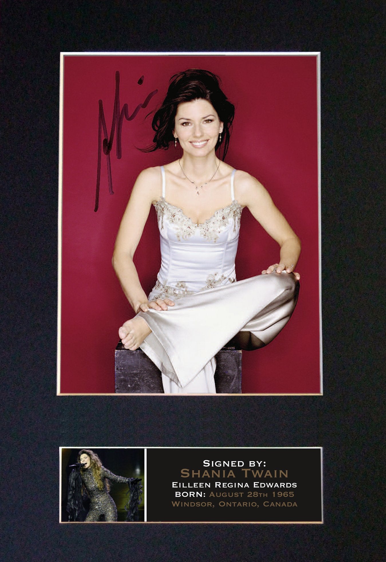 SHANIA TWAIN Very Rare Quality Autograph Mounted Signed Photo PRINT A4 667
